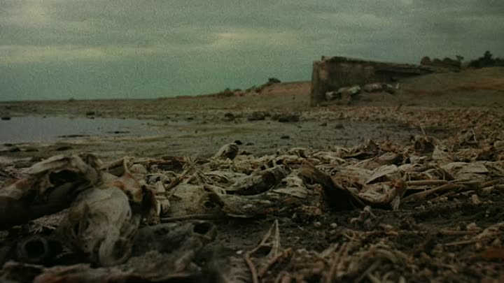 BAB 2021 HDRip XviD AC3-EVO