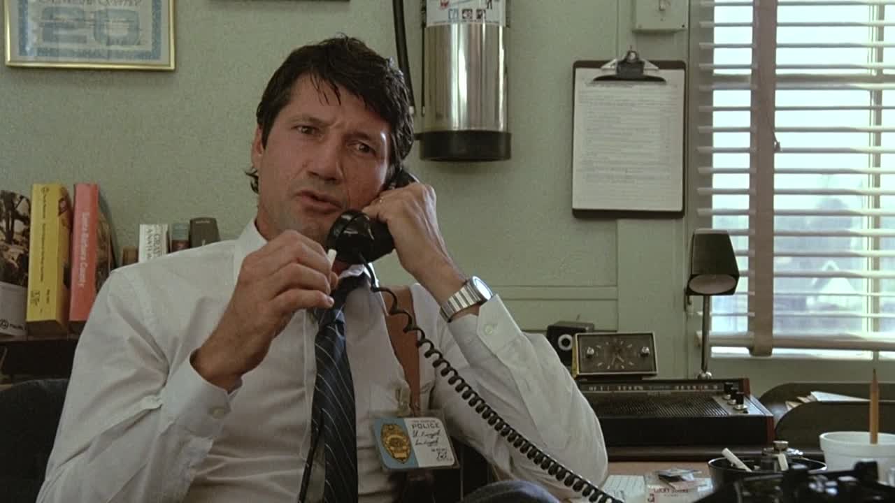 Secret Admirer 1985 1080p BluRay x264 AAC-