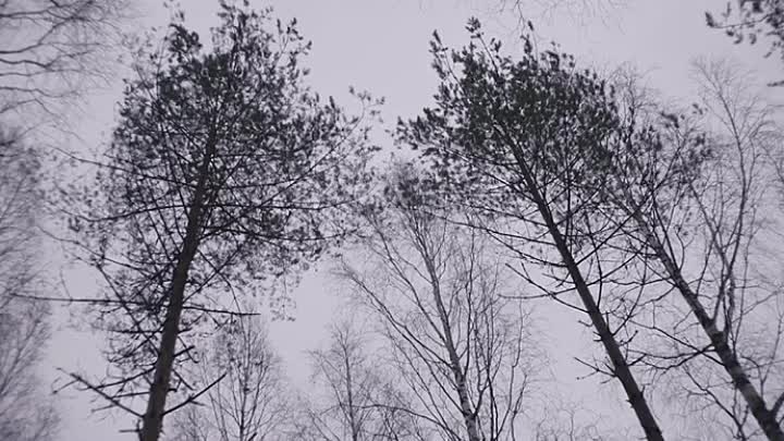 Bayoneta 2019 HDRip XviD AC3-EVO