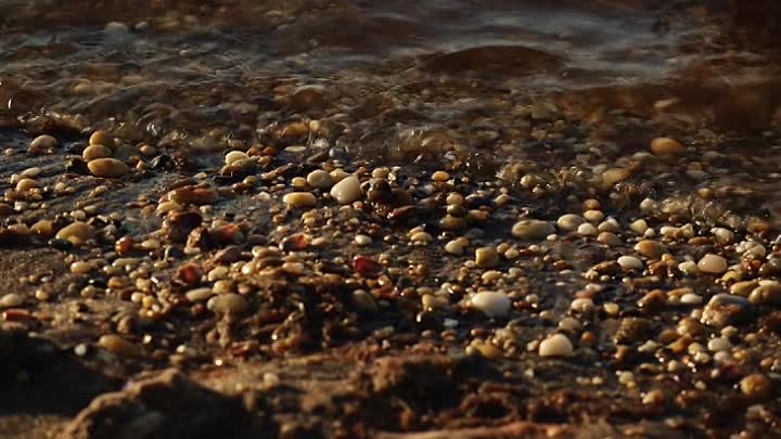 Beach House 2019 HDRip XviD AC3-EVO