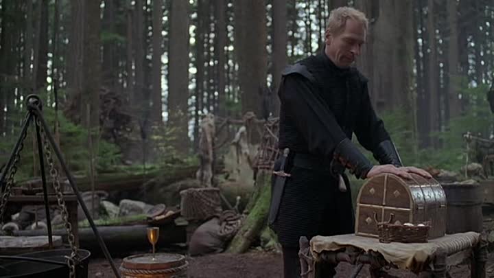 Beyond Sherwood Forest 2009 DVDRip XviD-VoMiT