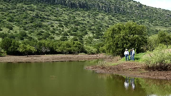 Blanche 2019 HDRip XviD AC3-EVO