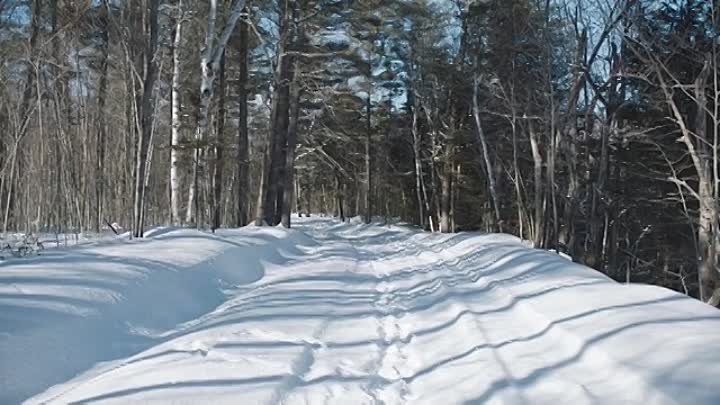 Blood And Money 2020 BDRip XviD AC3-EVO