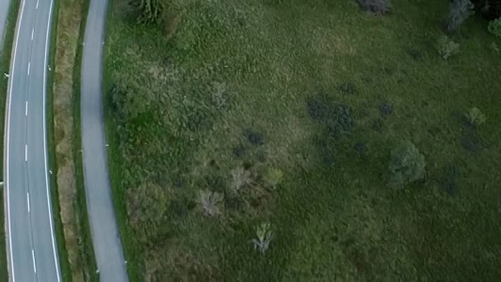 Bloody Hell 2020 HDRip XviD AC3-EVO