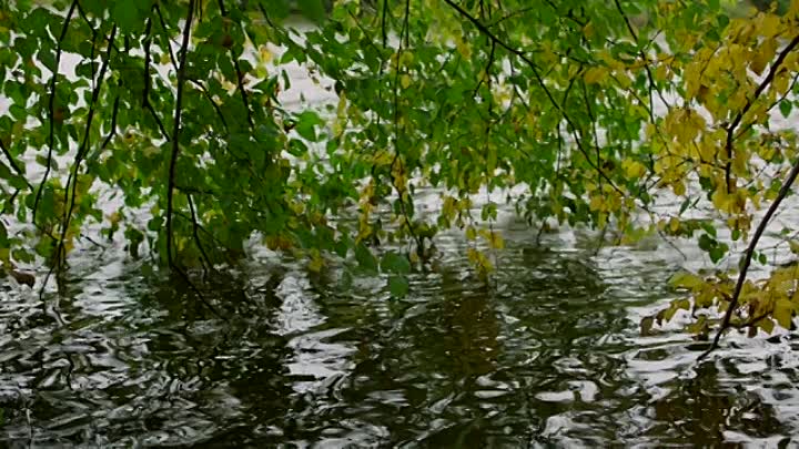 ⁣Break Every Chain 2021 HDRip XviD AC3-EVO