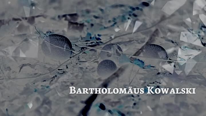 Breakdown Forest 2019 DUBBED HDRip XviD AC3-EVO