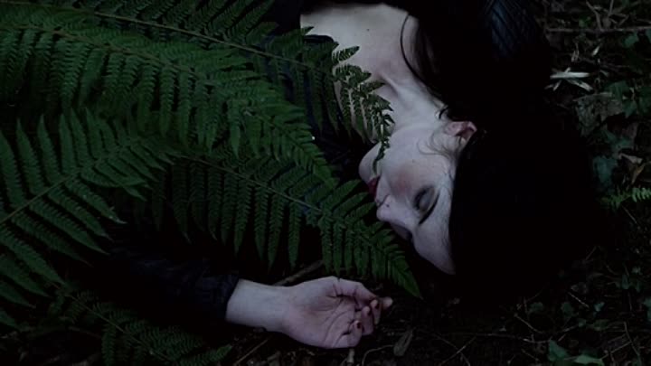 ⁣Bundy And The Green River Killer 2019 HDRip XviD AC3-EVO