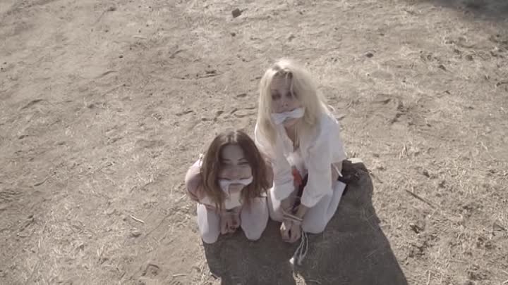 Captured 2017 HDRip XviD AC3-EVO