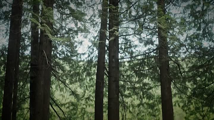 Chasing Waterfalls 2021 HDRip XviD AC3-EVO