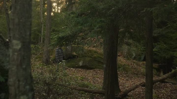 Colewell 2019 HDRip XviD AC3-EVO