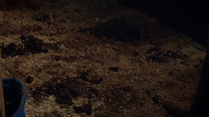 ⁣Concrete Cowboy 2021 HDRip XviD AC3-EVO