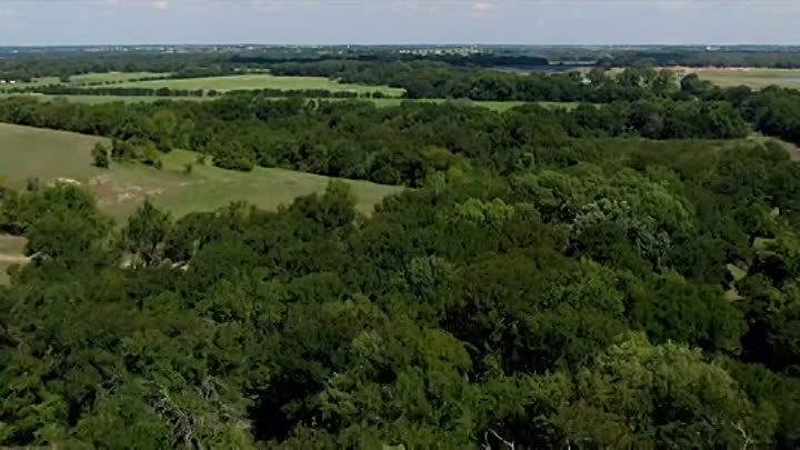 Copper Bill 2020 HDRip XviD AC3-EVO