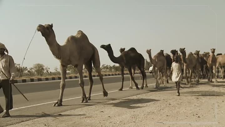 Day of the Mummy 2014 HDRiP XViD AC3-H34LTH