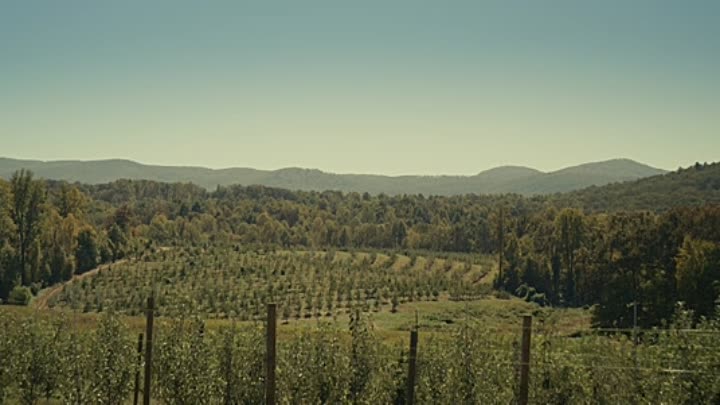 Dear Evan Hansen 2021 BRRip XviD AC3-EVO