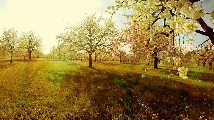 Delusions End Breaking Free of the Matrix 2021 HDRip XviD AC3-EVO