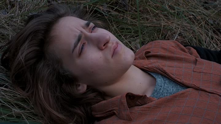 Dimland 2021 HDRip XviD AC3-EVO