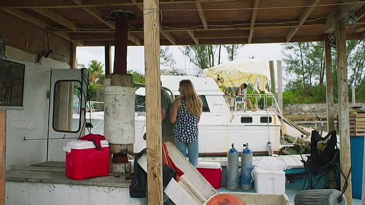 ⁣Dolphin Island 2021 HDRip XviD AC3-EVO