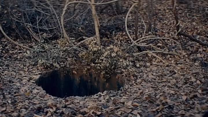 Dont Tell A Soul 2021 DVDRip XviD AC3-EVO