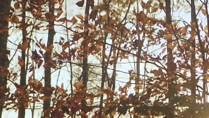 Down With the King 2022 HDRip XviD AC3-EVO