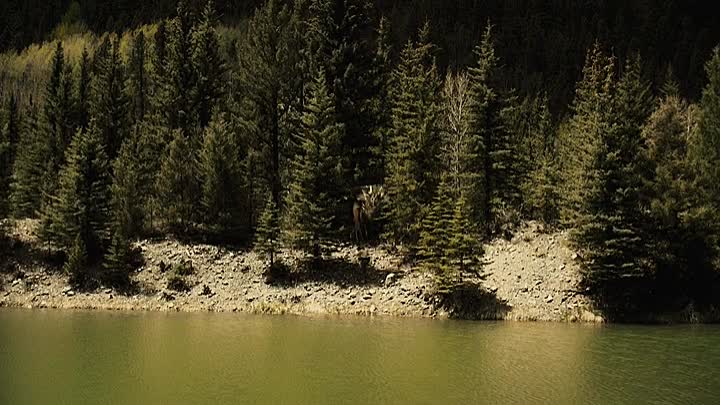 Dragon Soldiers 2020 BRRip XviD AC3-EVO