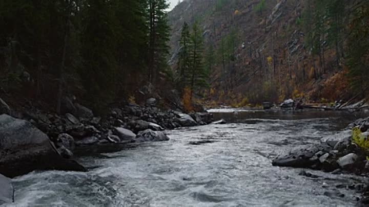 ⁣East of the Mountains 2021 HDRip XviD AC3-EVO