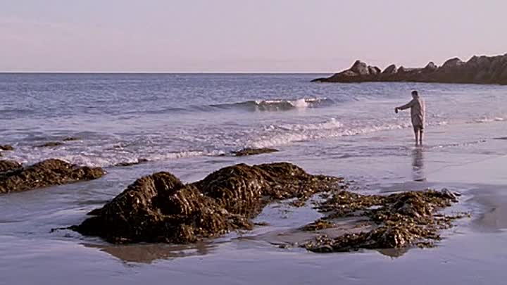 Edge Of Darkness 2010 DVDRip XviD AC3-ViSiON