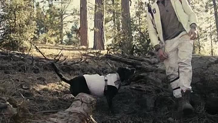 Ellipse 2019 HDRip XviD AC3-EVO