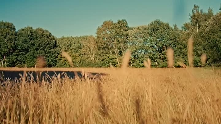 ⁣Emily and the Magical Journey 2021 HDRip XviD AC3-EVO