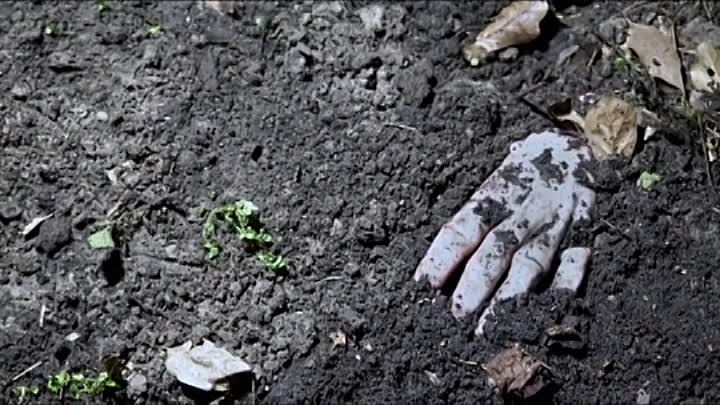 End Trip 2019 HDRip XviD AC3-EVO