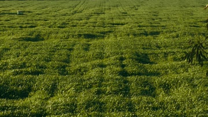 Encounter 2021 HDRip XviD AC3-EVO