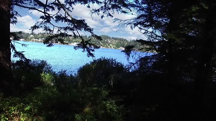 Evil Under the Skin 2020 HDRip XviD AC3-EVO