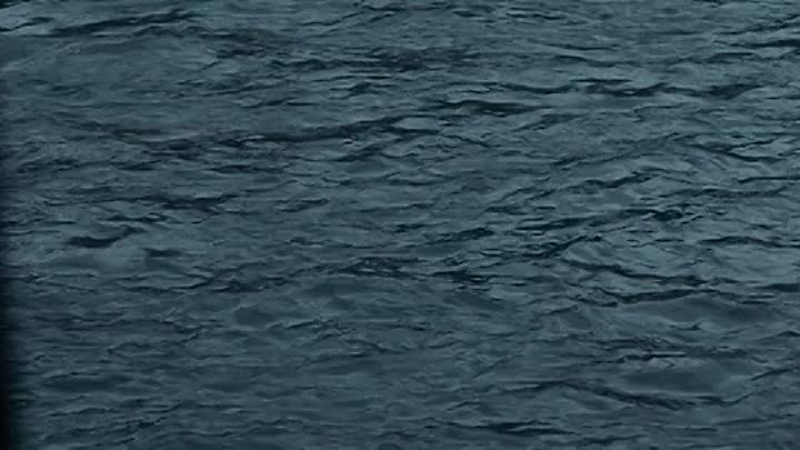 Exit Plan 2020 BDRip XviD AC3-EVO