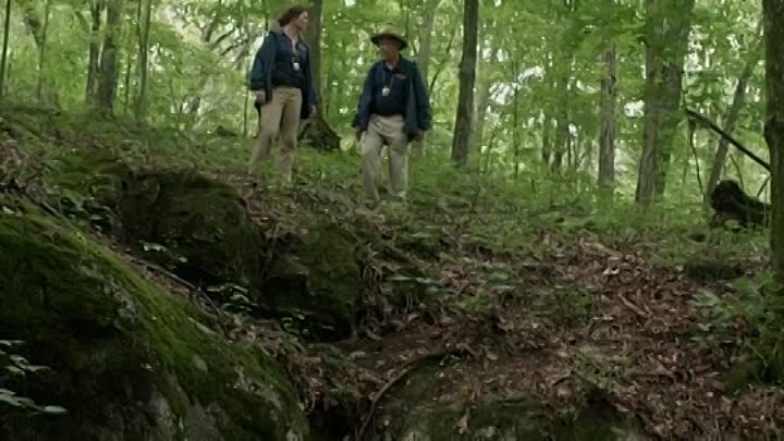 Found 2020 HDRip XviD AC3-EVO