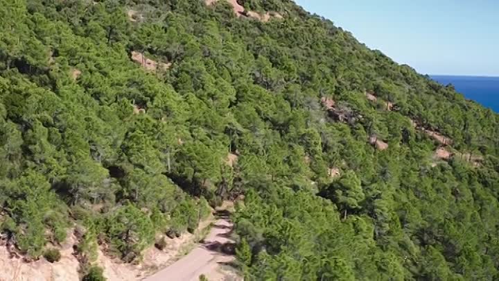 ⁣France 2021 BRRip XviD AC3-EVO