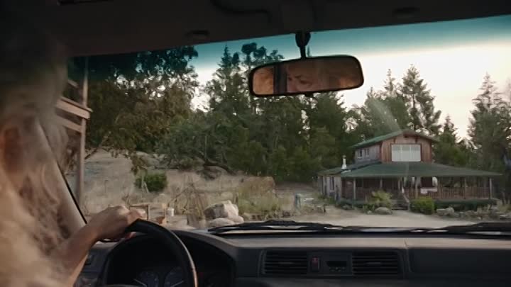 Freeland 2021 HDRip XviD AC3-EVO