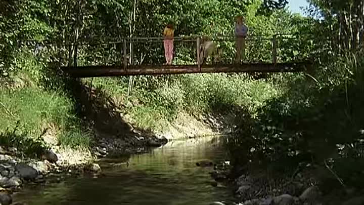 ⁣Pippi geht von Bord 1969 REMASTERED German AC3 DVDRiP x265-Bi0hazard