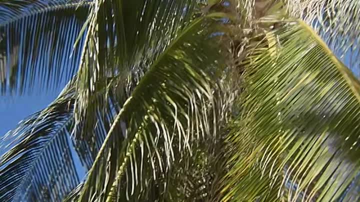 ⁣Pippi in Taka-Tuka-Land 1970 REMASTERED German AC3 DVDRiP x265-Bi0hazard