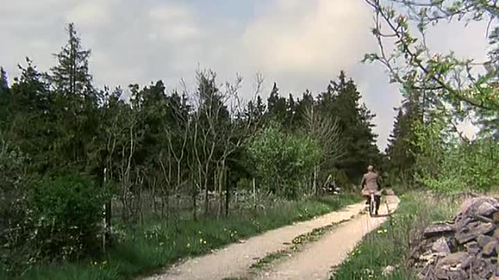 ⁣Pippi außer Rand und Band 1970 REMASTERED German AC3 DVDRiP x265-Bi0hazard