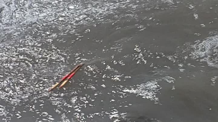 Spur des Falken 1968 German Remastered BDRip x264 iNTERNAL-TVARCHiV