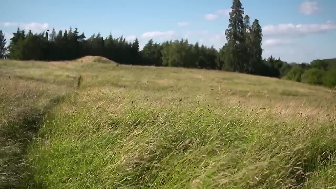 A Killers Mistake  Real Crime -How Metallica Helped To Solve A Murder