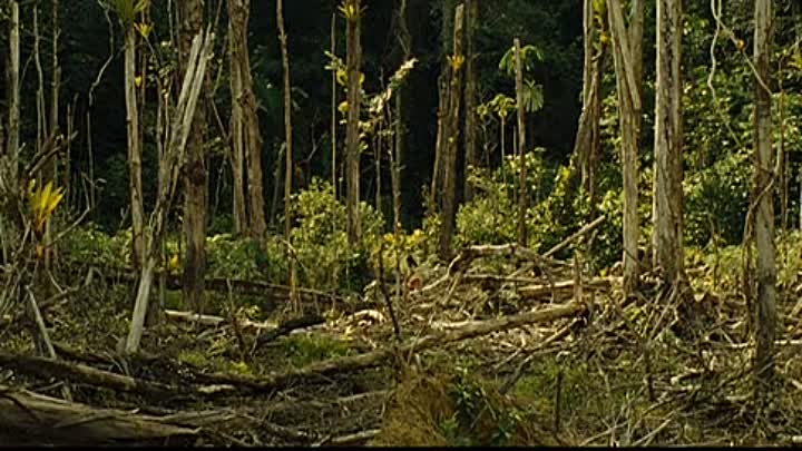 600 KG D Or Pur 2010 FRENCH DVDRIP XViD-C Ronaldo