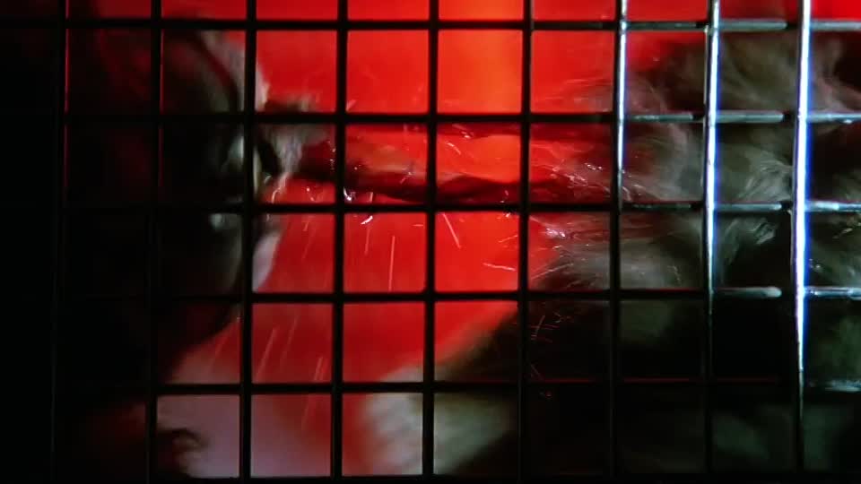 The Hunger 1983 720p WEB-DL AAC2 0 H 264