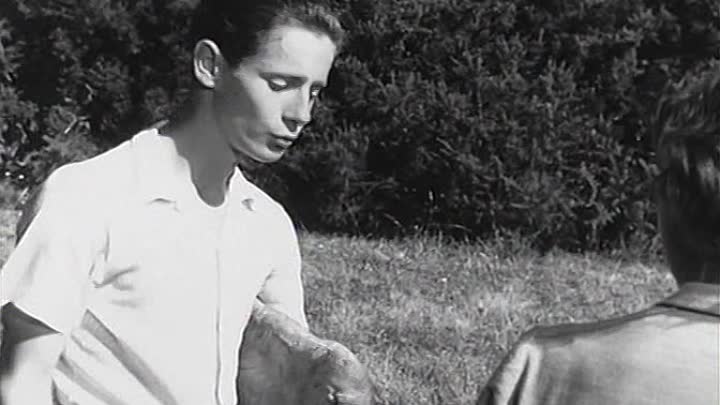 Louis De Funes - 1953 - Le Ble En Herbe French Tvrip XviD