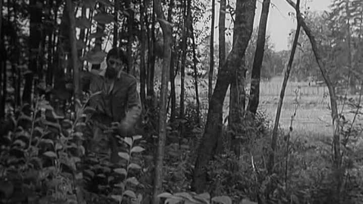 Louis De Funes - 1960 - Candide Ou L Optimisme Au XXeme Siecle French Dvdrip DivX