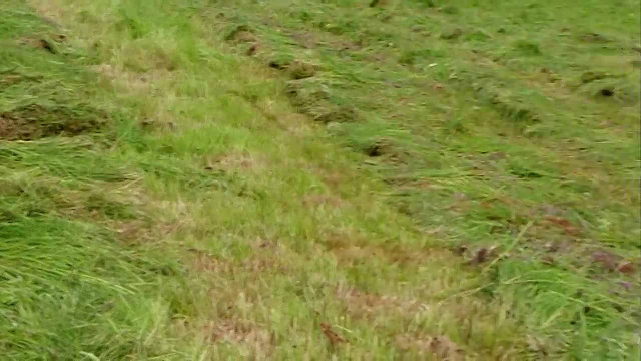 ⁣The Bizarre Victorian Traditions To Celebrate Christmas