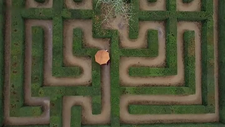 Brulez Moliere 2019 FRENCH WEBRiP XViD-STVFRV