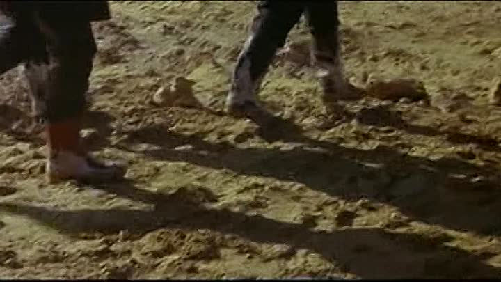 ⁣Bourvil - 1966 - Trois Enfants Dans Le Desordre French Tvrip XviD