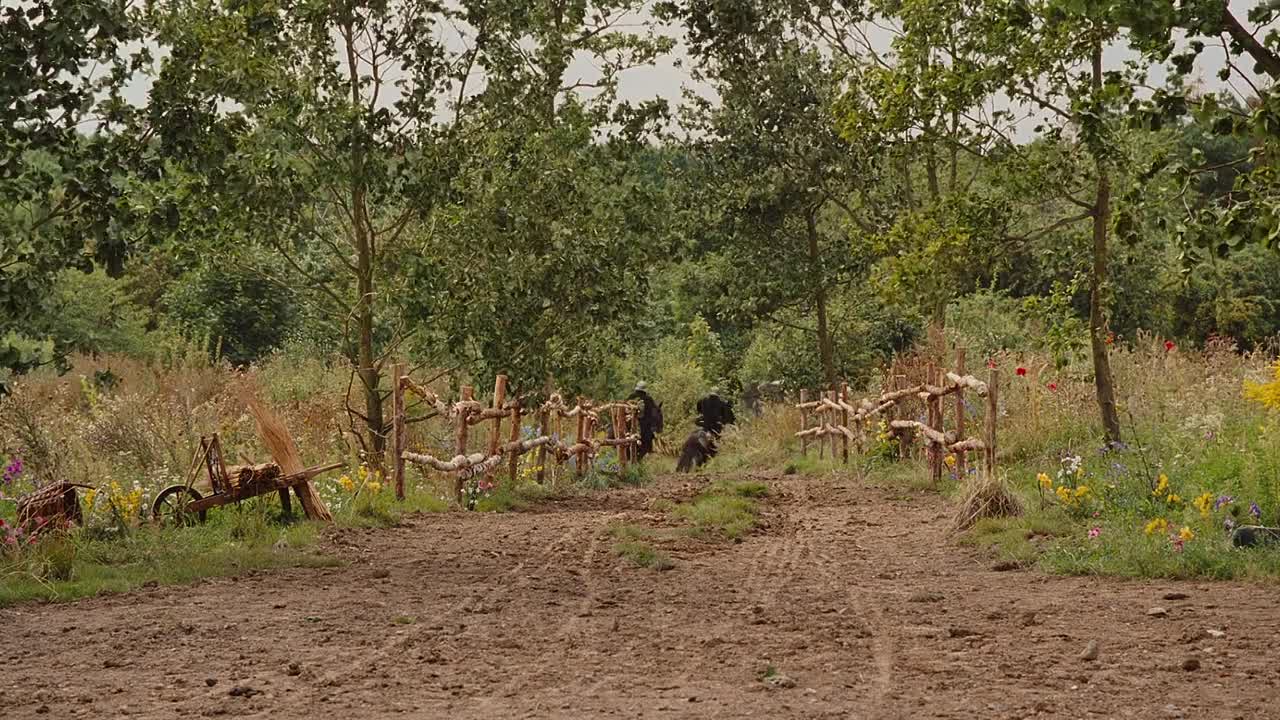 Les Aventures De Philibert Capitaine Puceau 2011 FRENCH 1080p BluRay x264 AAC5 1-