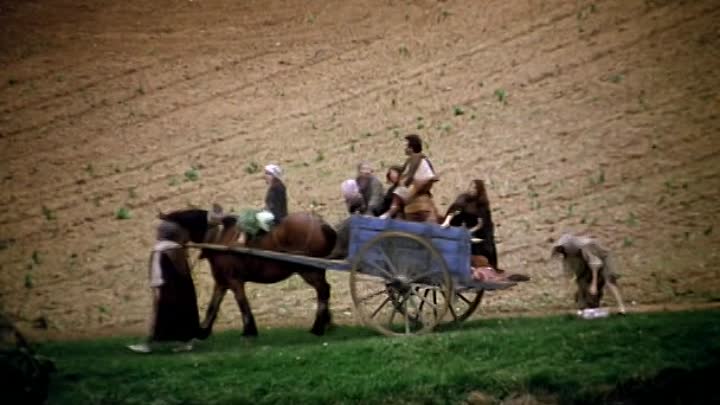 ⁣Coluche - 1982 - Elle Voit Des Nains Partout French Dvdrip DivX