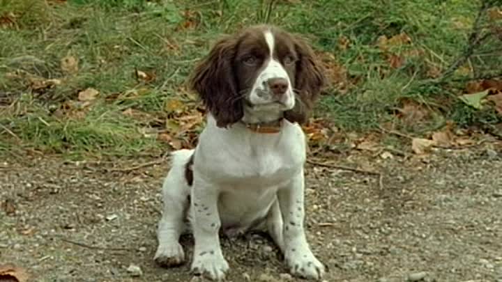 Monarch Of The Glen S03E10